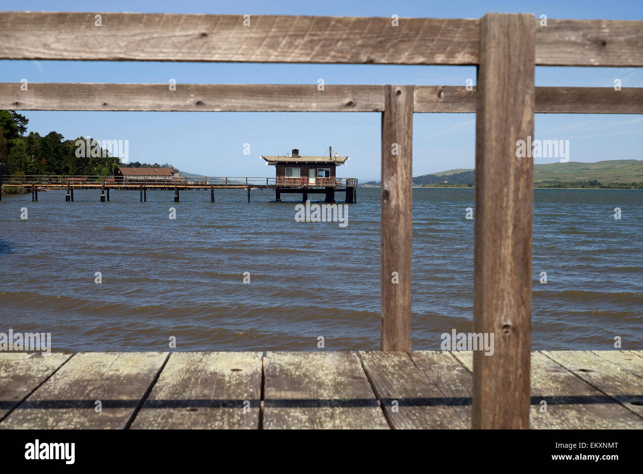 Una rampa o dock attraversando Tomales Bay vicino a Inverness, California. Foto Stock