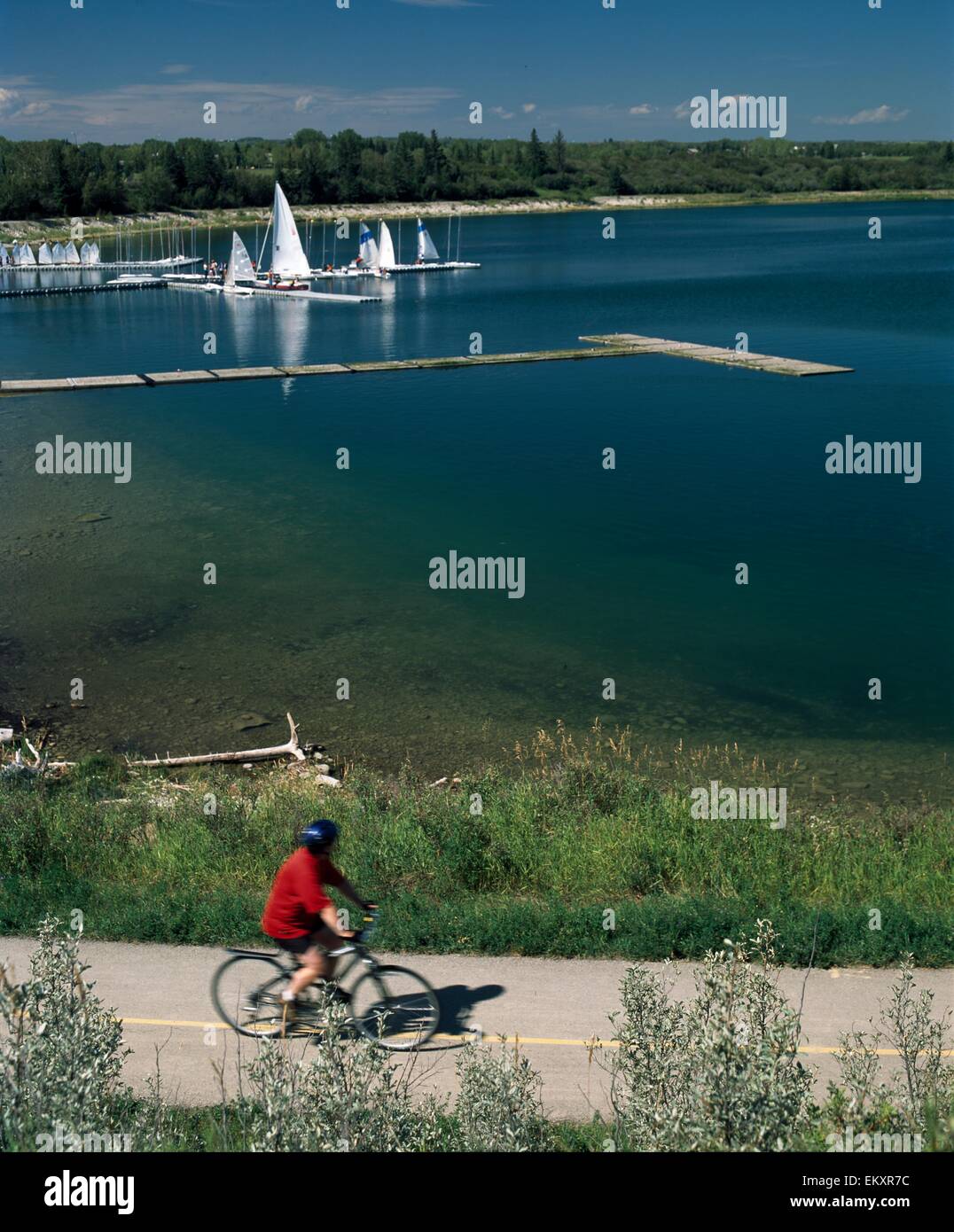 Escursioni in bicicletta lungo il percorso, Glenmore Park di Calgary, Alberta, Canada Foto Stock