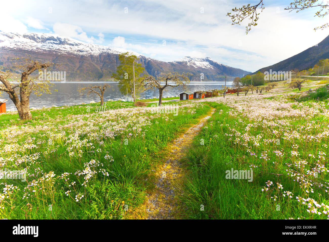 Bellissimo giardino in Norvegia Foto Stock