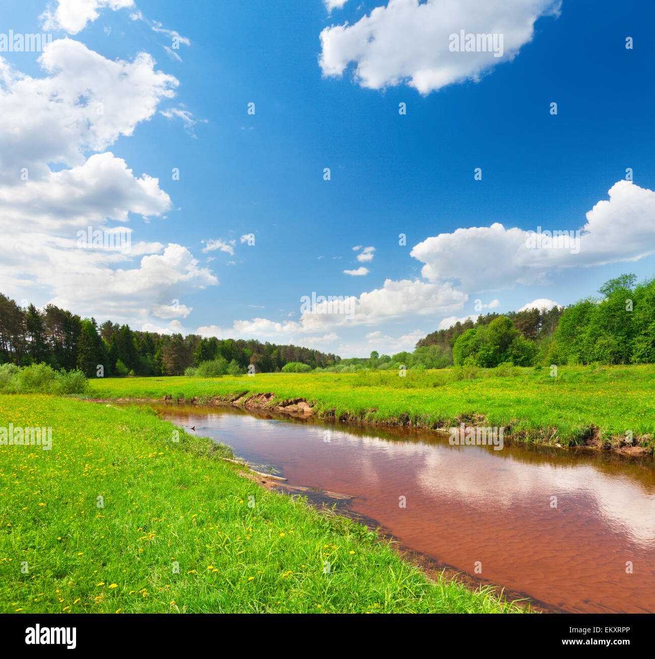 Campo verde e il fiume sotto il cielo blu Foto Stock
