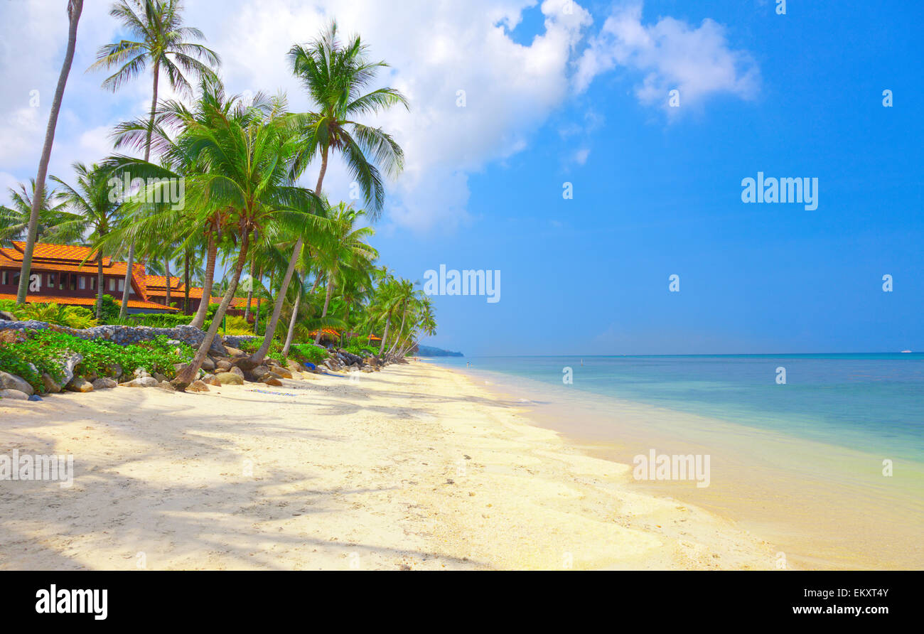 Spiaggia e mare tropicale Foto Stock