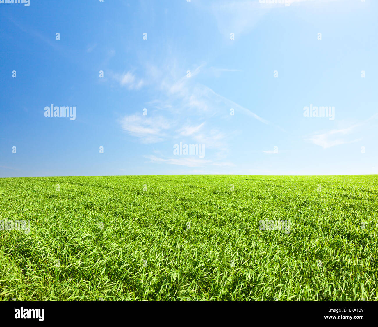 Verde collina sotto il blu cielo nuvoloso con Sun Foto Stock