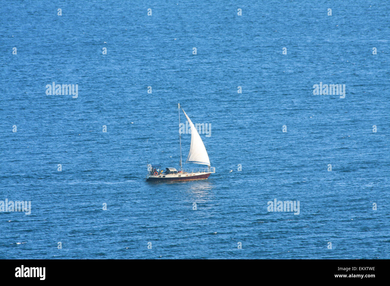 Barca a vela in alto mare Foto Stock