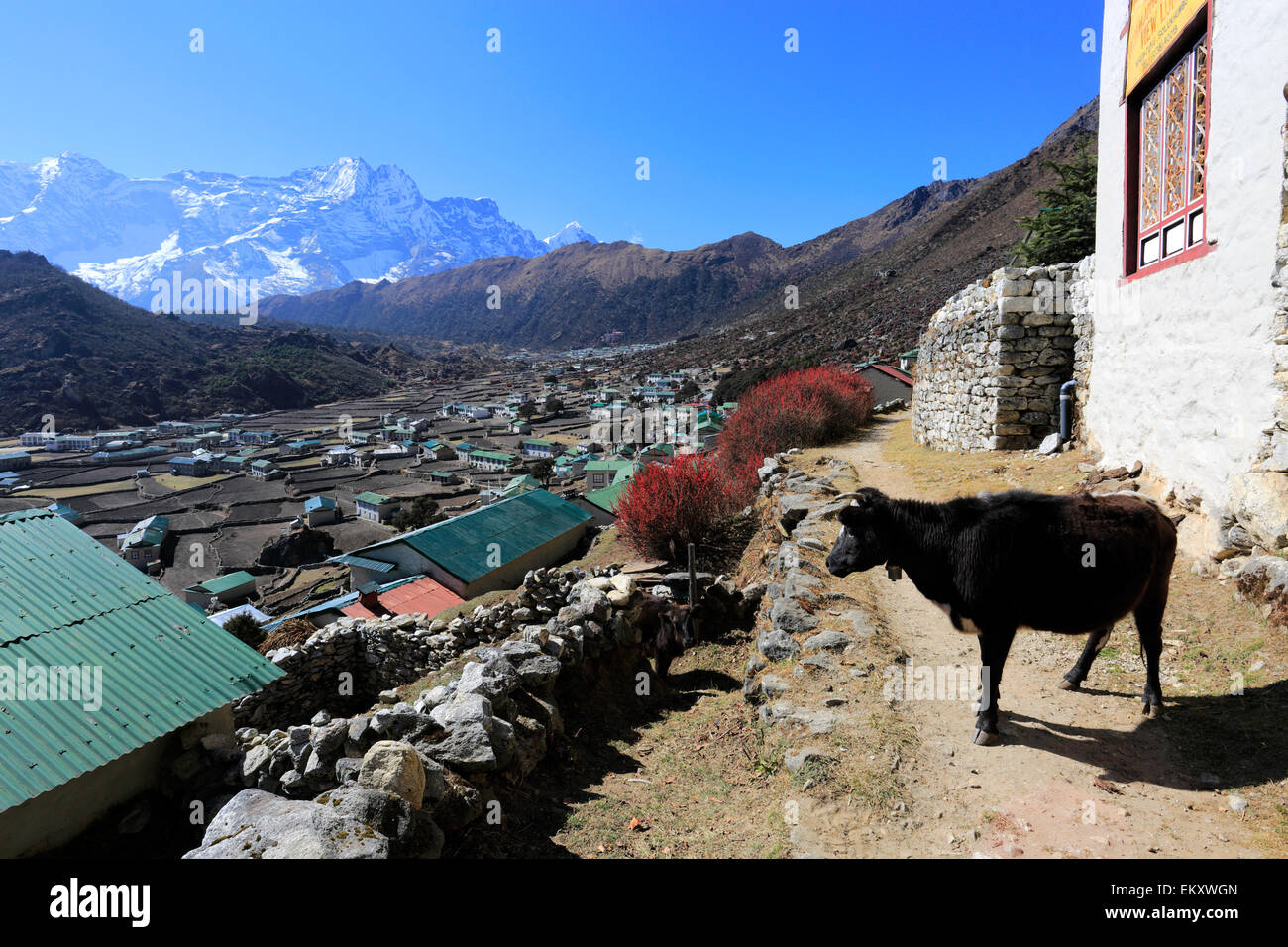 Immagine di Khumjung villaggio sul campo base Everest trek, Solukhumbu quartiere, regione di Khumbu, Nepal orientale, Asia. Foto Stock