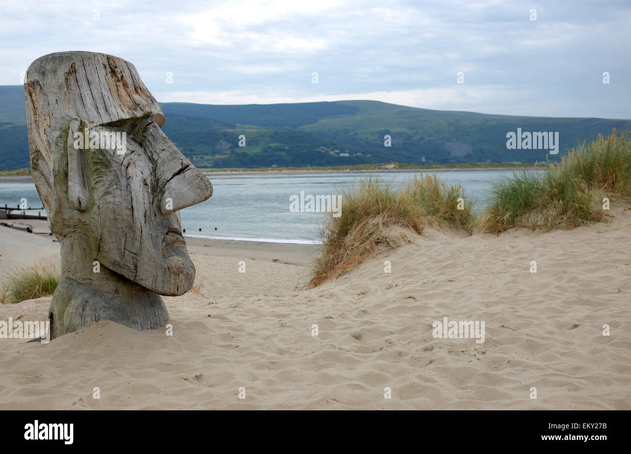 Blaenau Ffestiniog Galles del Nord giganteschi scolpiti testa boscose sulle dune di sabbia Moai dell'isola di pasqua scultura di stile a Ynys y dune Brawd Galles del Nord Foto Stock