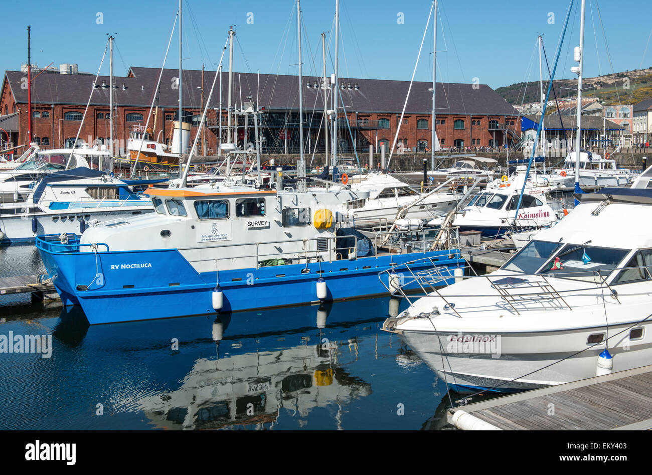 Swansea marina piena di barche da diporto su una luminosa giornata di sole, South Wales, Regno Unito Foto Stock