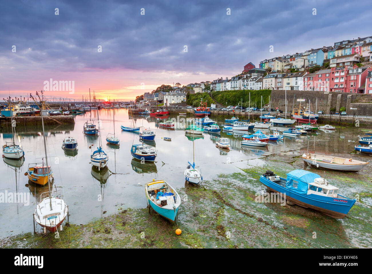 Brixham Harbour, South Devon, Inghilterra, Regno Unito, Europa. Foto Stock