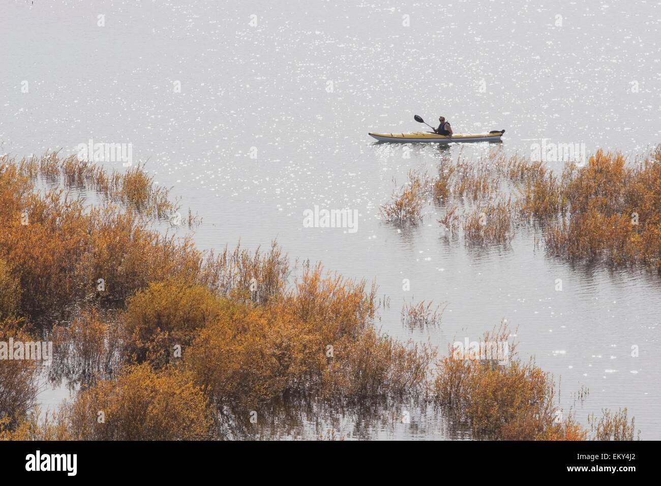 Kayaking sul serbatoio di Glenmore Foto Stock