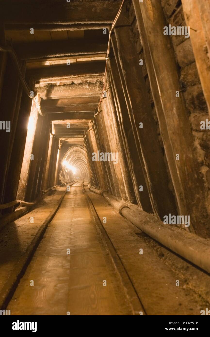Mina sotterranea, Hallstatt, Salzkammergut, Austria Foto Stock