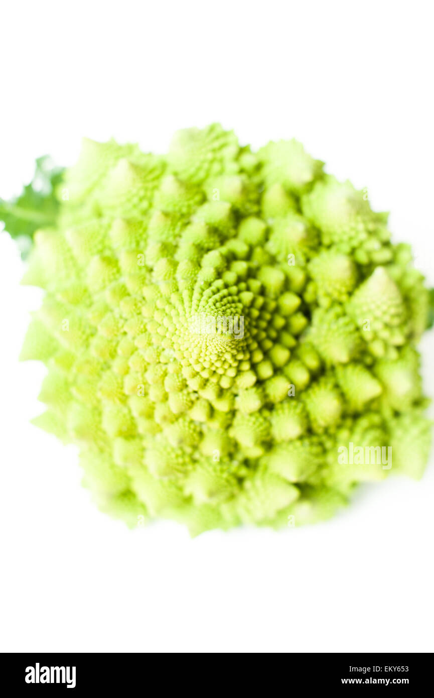 Roman broccoli Cavolfiori close up il fuoco selettivo sulla testa isolata su sfondo bianco Foto Stock
