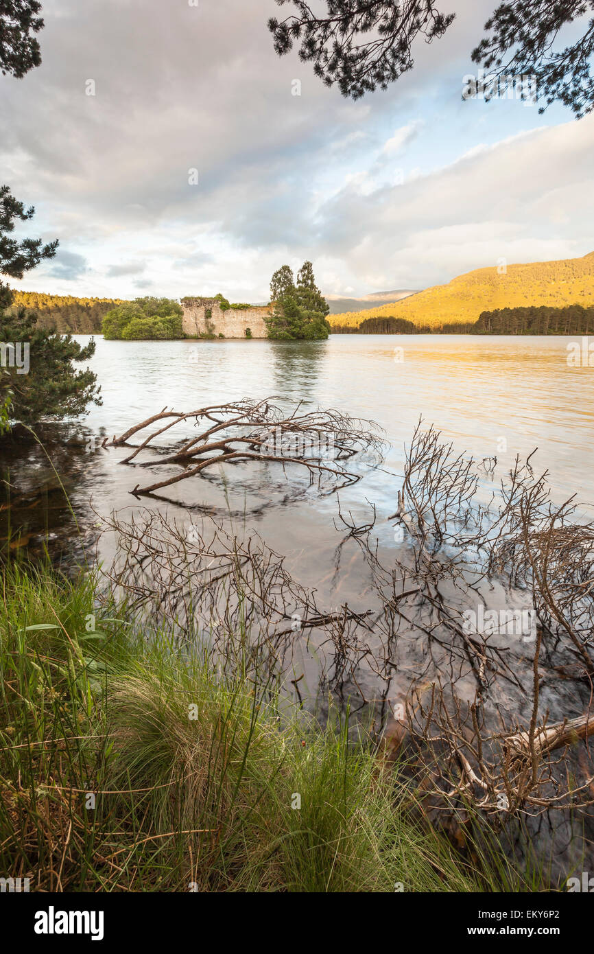 Loch un castello Eilein in Scozia. Foto Stock