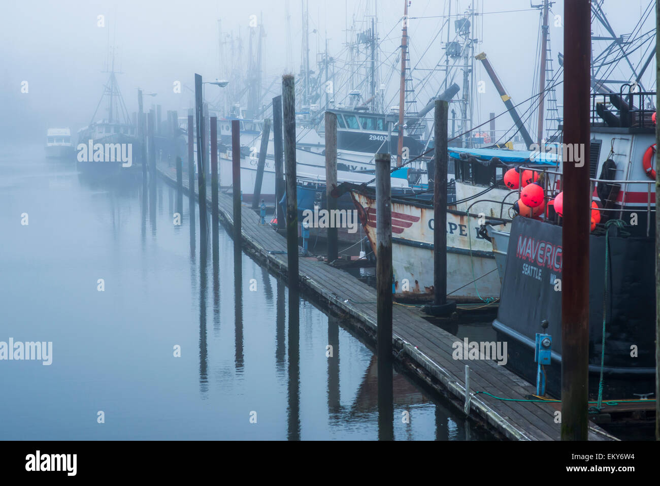 Barche da pesca ormeggiate presso il dock; Warrenton, Oregon, Stati Uniti d'America Foto Stock