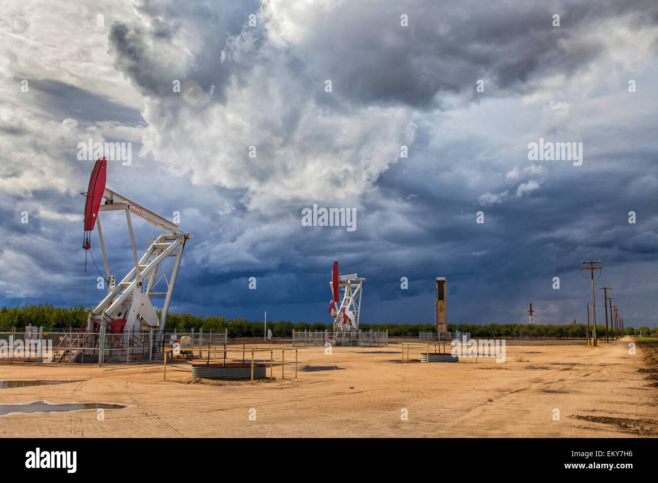 Olio bene pumpjacks situato nel frutteto di mandorla. Kern County, che si trova oltre il Monterey Shale, ha visto un drammatico aumento in olio Foto Stock