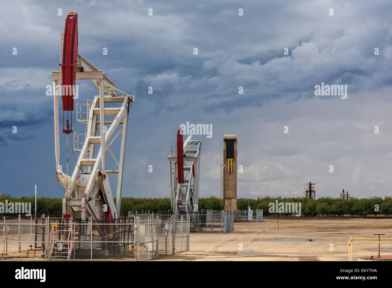 Olio bene pumpjacks situato nel frutteto di mandorla. Kern County, che si trova oltre il Monterey Shale, ha visto un drammatico aumento in olio Foto Stock