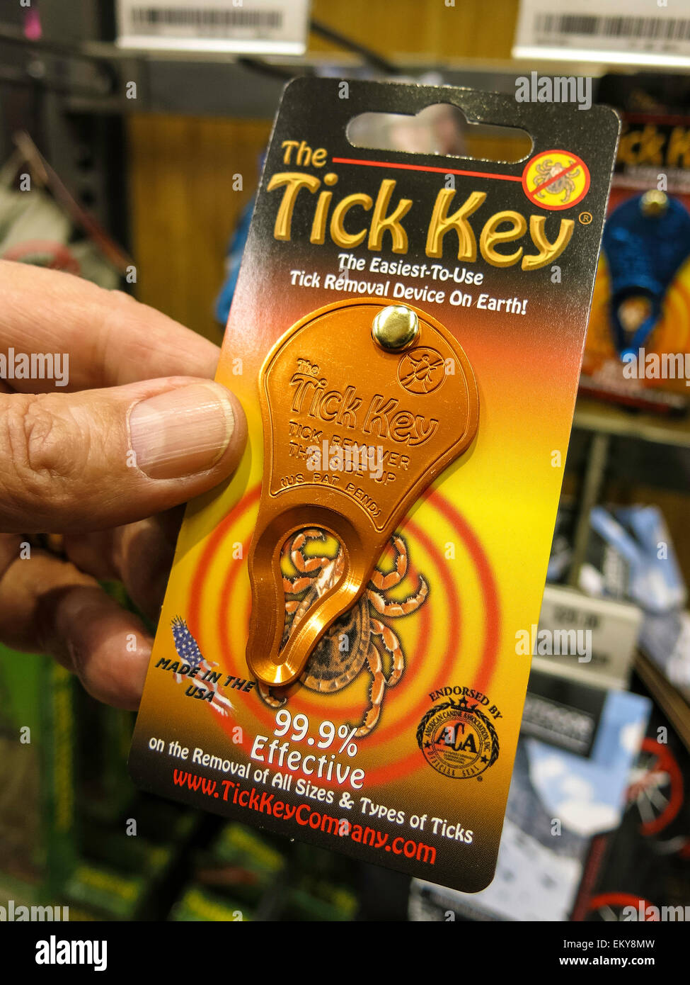 REI negozio di articoli sportivi, Soho NYC Foto Stock