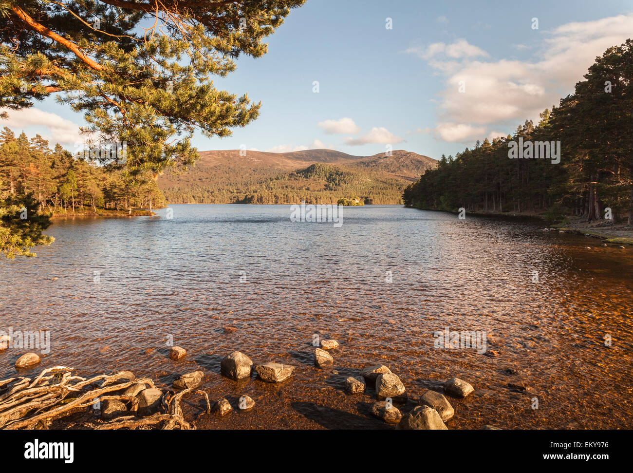 Loch un Eilein in Scozia. Foto Stock