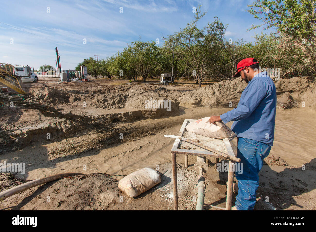 Pozzo di acqua essendo praticato nel frutteto di mandorla. Il Tulare County, San Joaquin Valley, California, Stati Uniti d'America Foto Stock