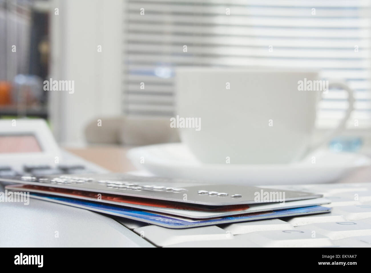 Home & Business accounting usando un portatile,gli estratti conto bancari e carte di credito Foto Stock