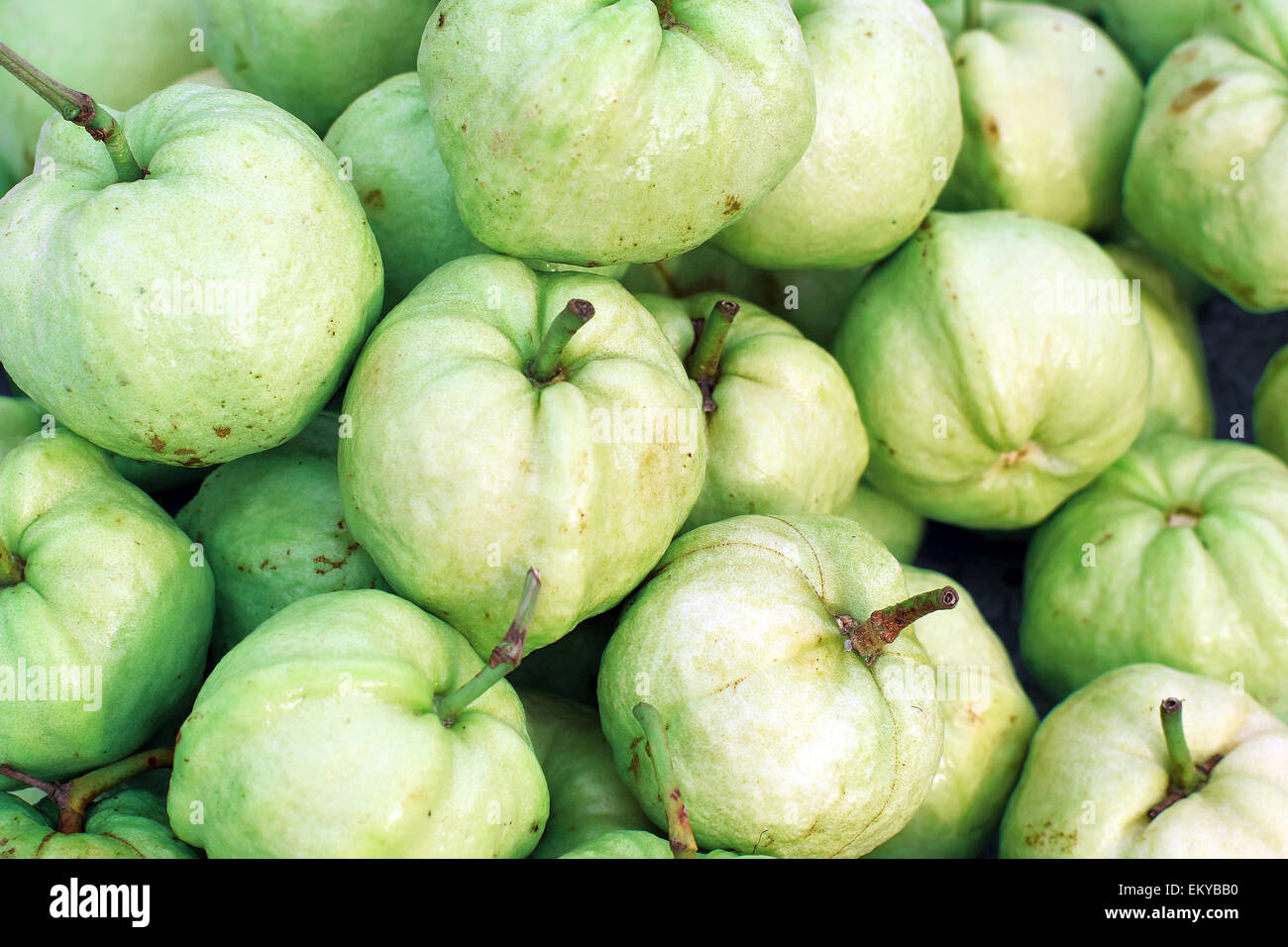 Frutto Guava sul vassoio del mercato Foto Stock