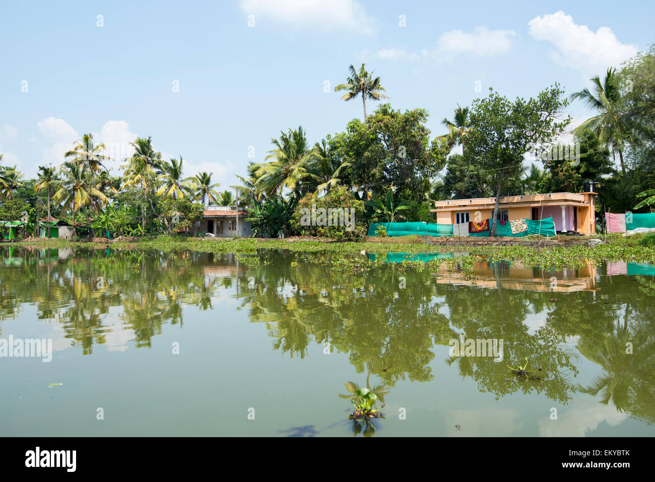 Il Kerala Backwaters, Kumarakom Kerala India Foto Stock