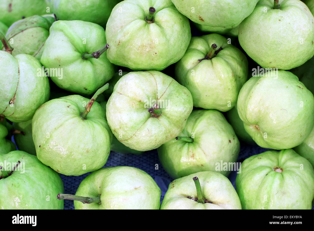 Frutto Guava sul vassoio del mercato Foto Stock