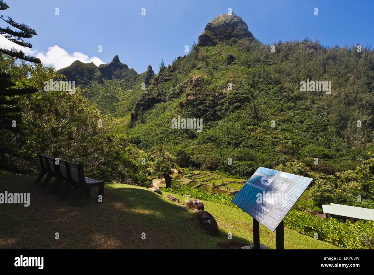 Giardino,panche,la placca,l'Erba,Hill,Parco,Mountain Foto Stock