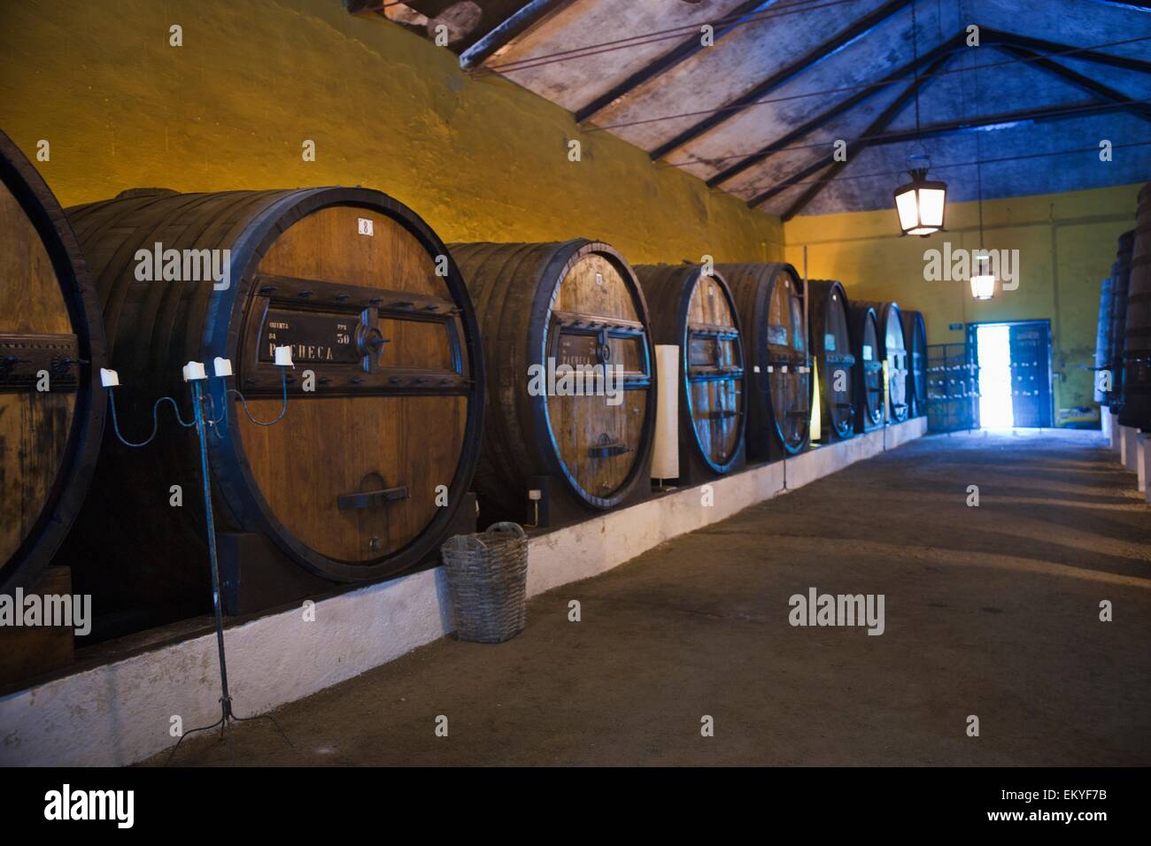 Botti di vino in una cantina; Peso Da Régua, Portogallo Foto Stock