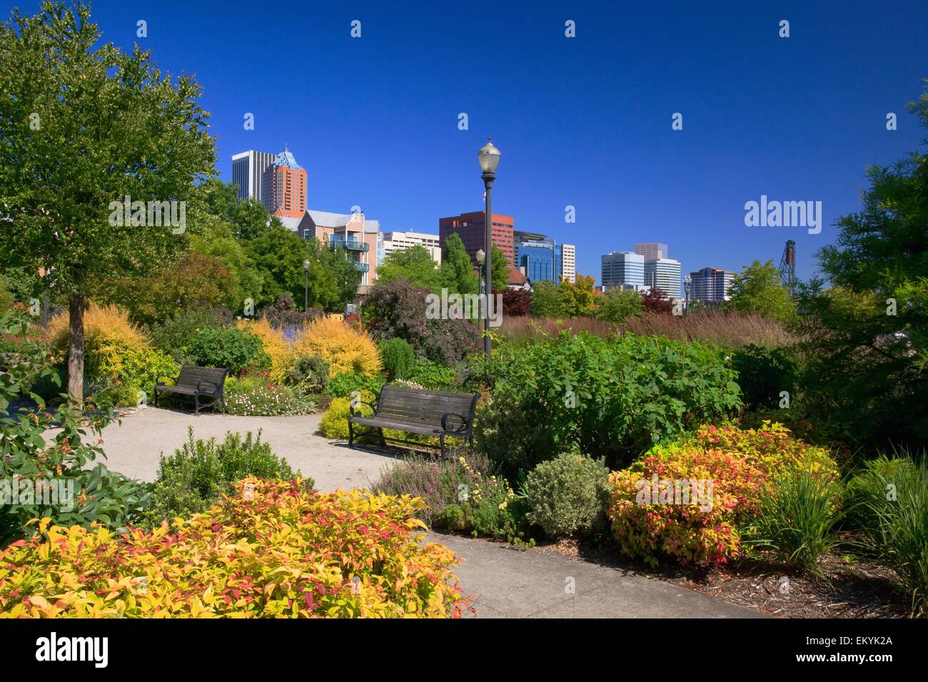 Riverplace giardino lungo il lungomare di Portland; Portland, Oregon, Stati Uniti d'America Foto Stock