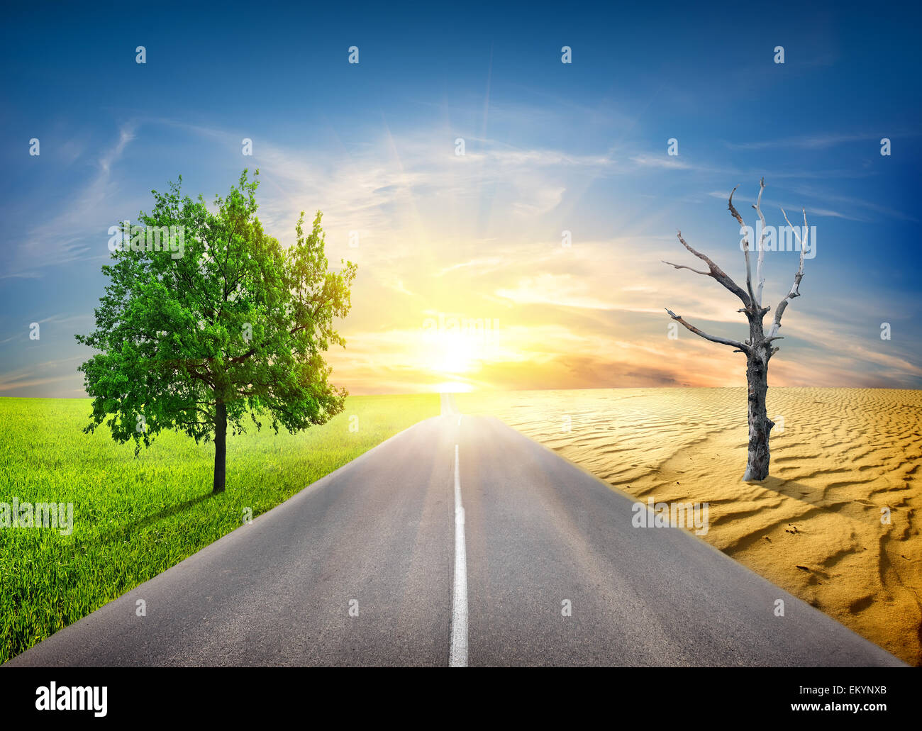 Il riscaldamento globale in natura Foto Stock