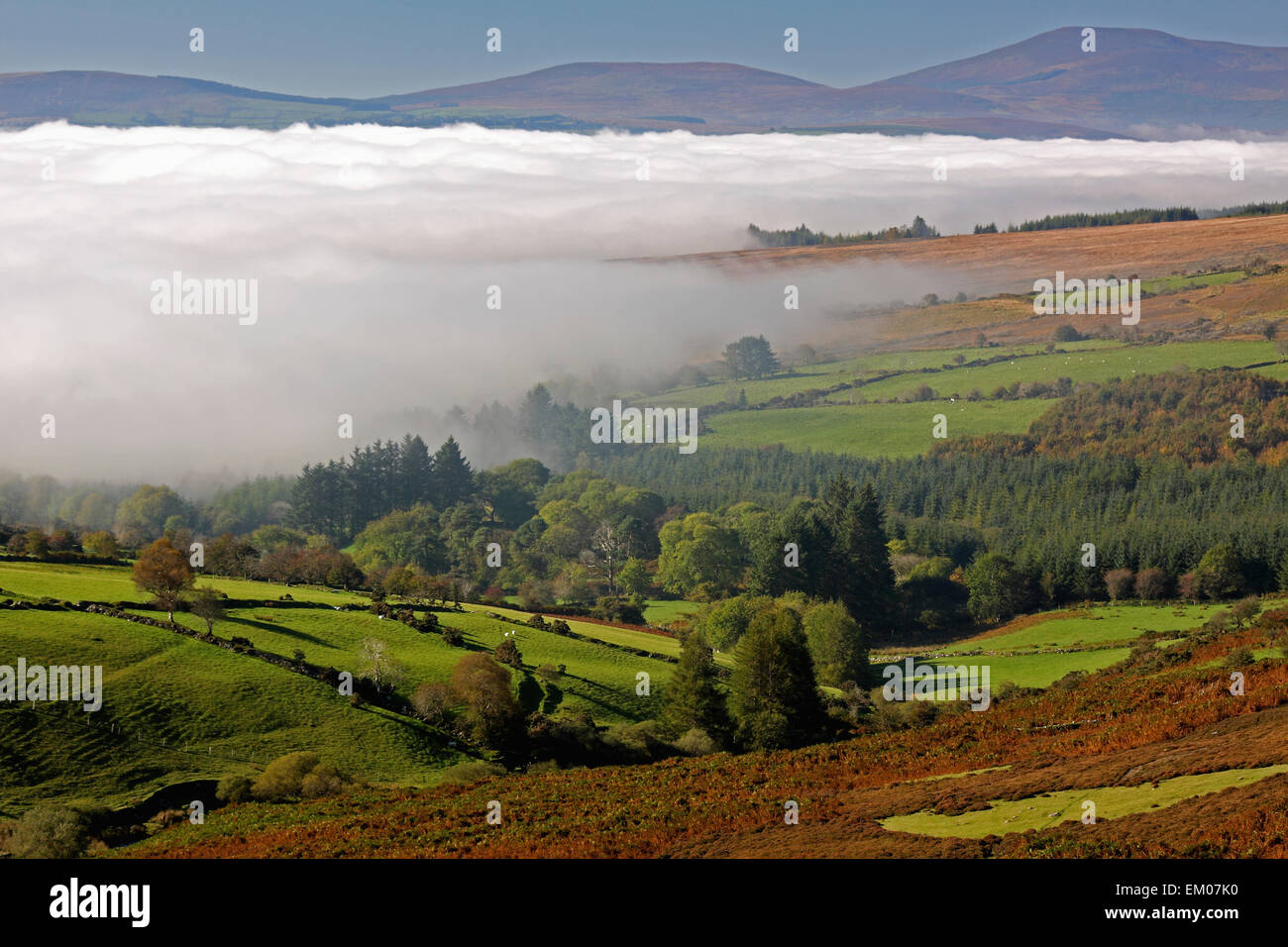 Nièvre panorama della valle; Clonmel, nella contea di Tipperary, Irlanda Foto Stock