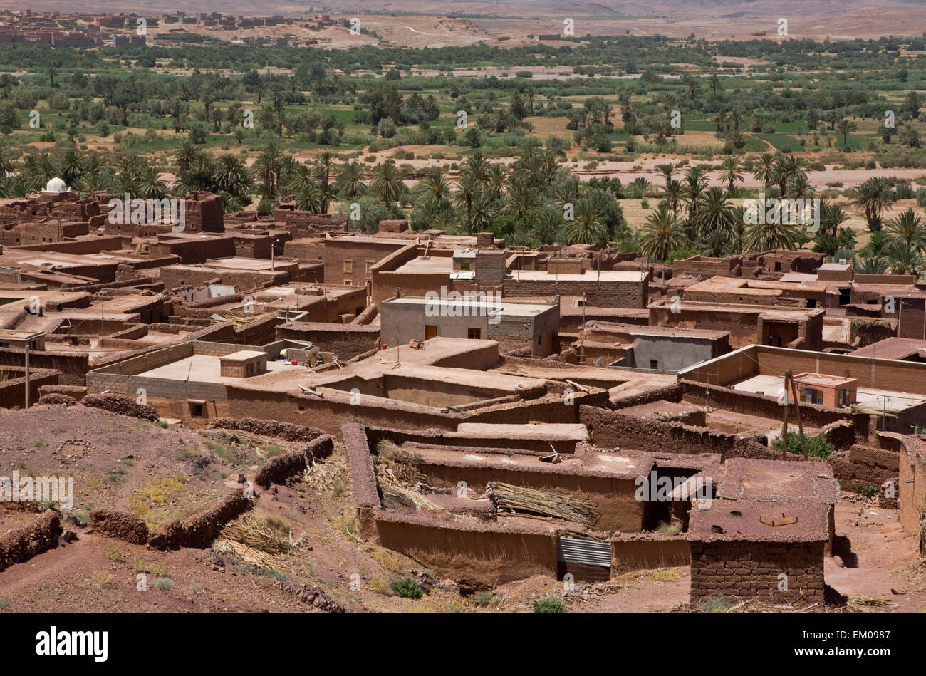 Valle Draa adobe cittadina vicino al fiume, Marocco Foto Stock