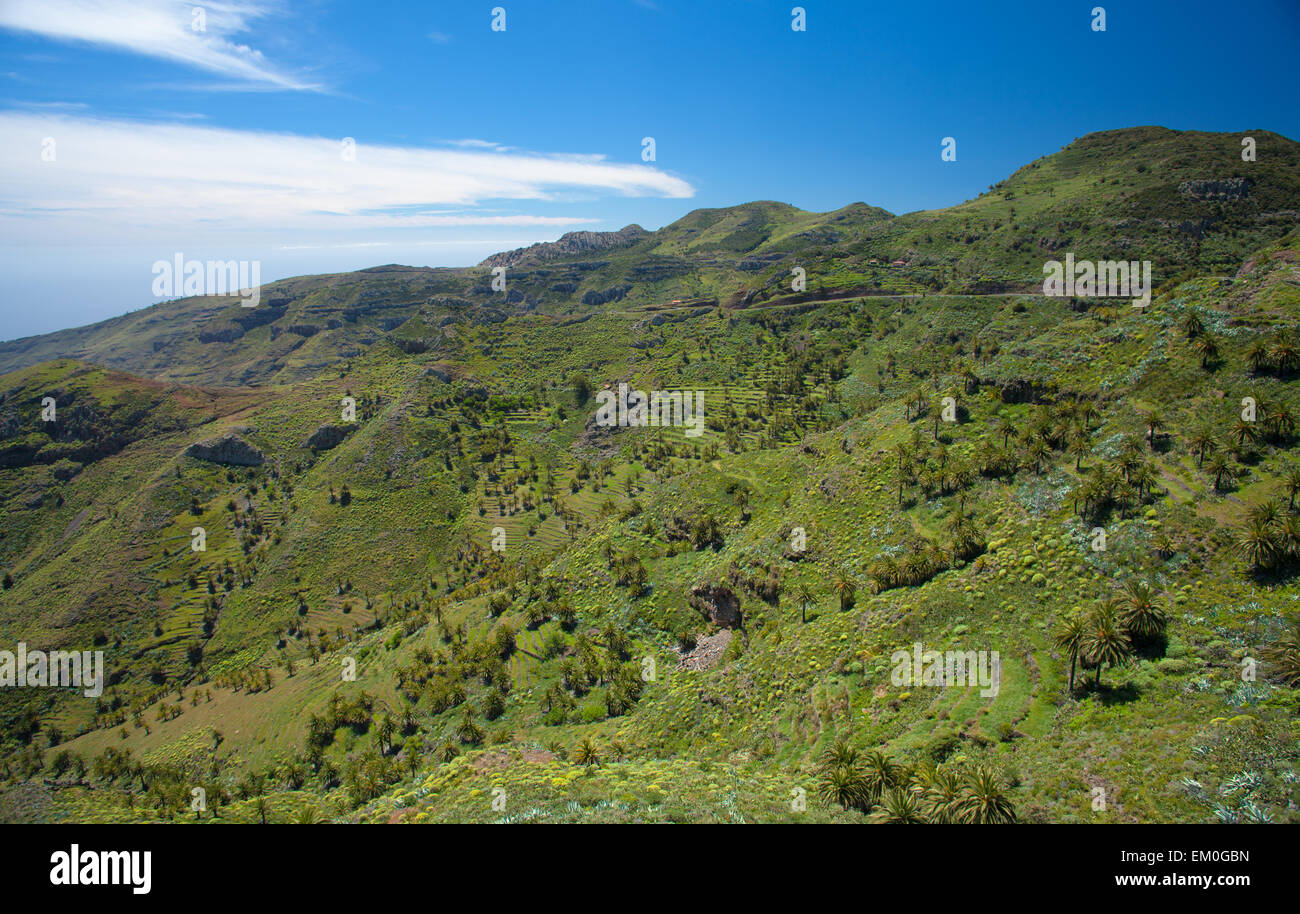 Navigazione La Gomera, verde valle a terrazze digradanti a ocaen Foto Stock