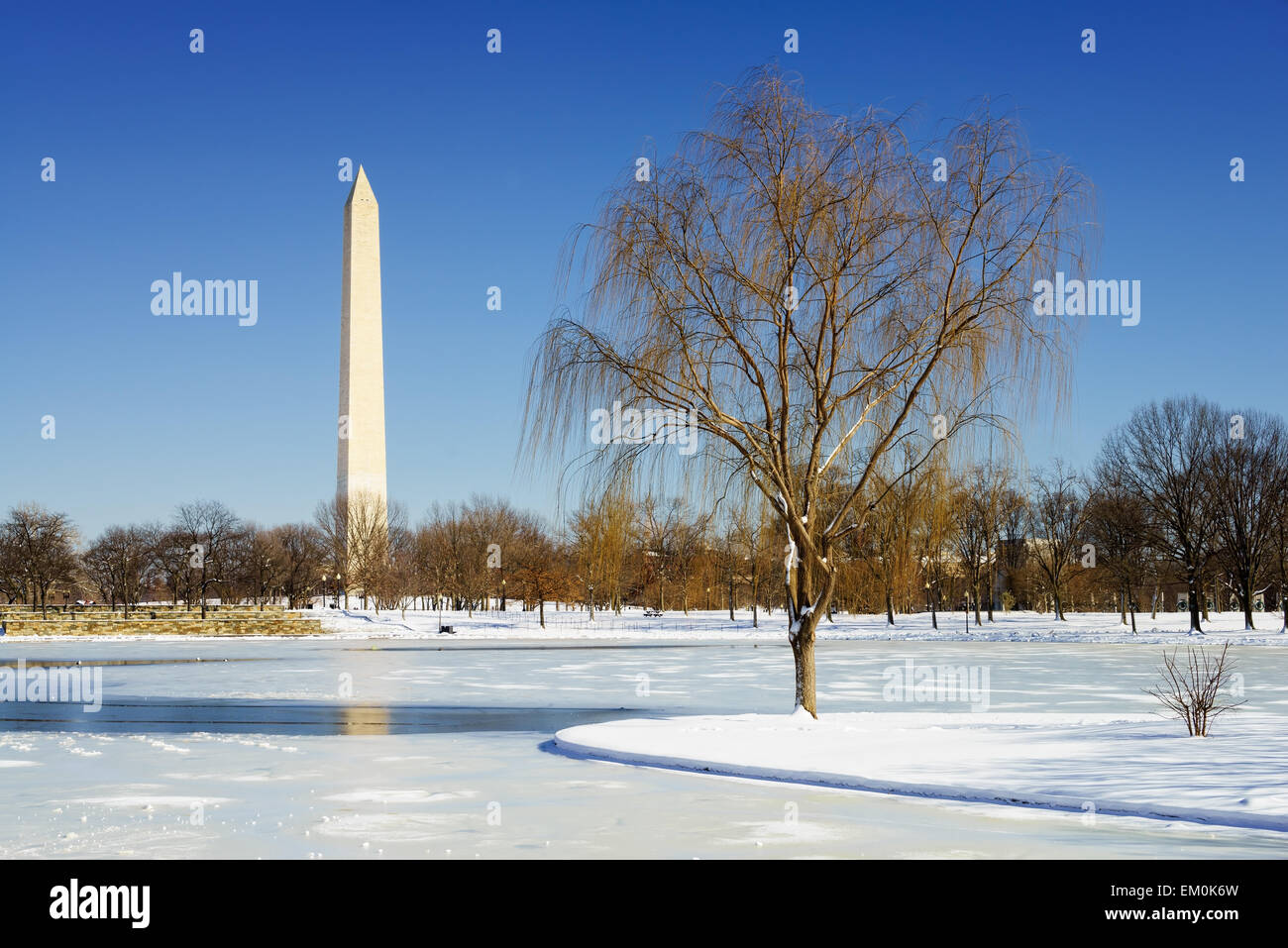 Il monumento di Washington nel National Mall di Washington DC, Stati Uniti d'America. Foto Stock