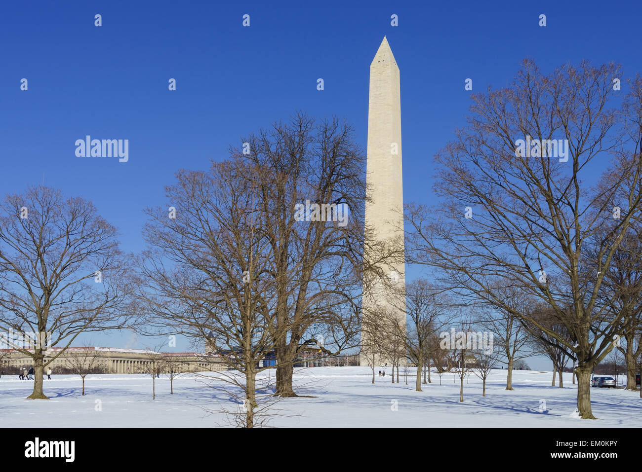 Il monumento di Washington nel National Mall di Washington DC, Stati Uniti d'America. Foto Stock