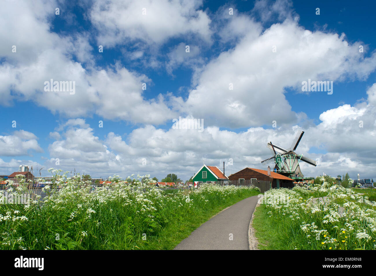 Mulini a vento in Olandese Zaanse Schans Foto Stock