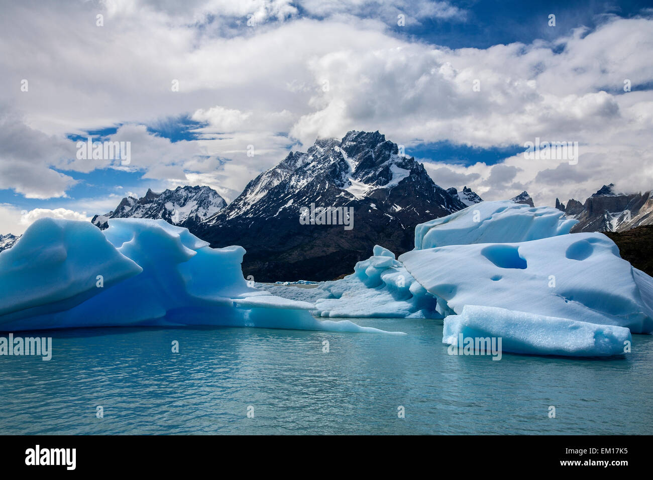 Iceberg in grigio laguna glaciale (Lago grigio) vicino al ghiacciaio Grey nel Parco Nazionale Torres del Paine nel sud del Cile Foto Stock