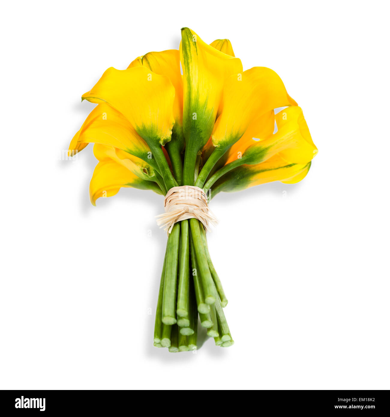 Bellissima Calla Lilly Bouquet Foto Stock