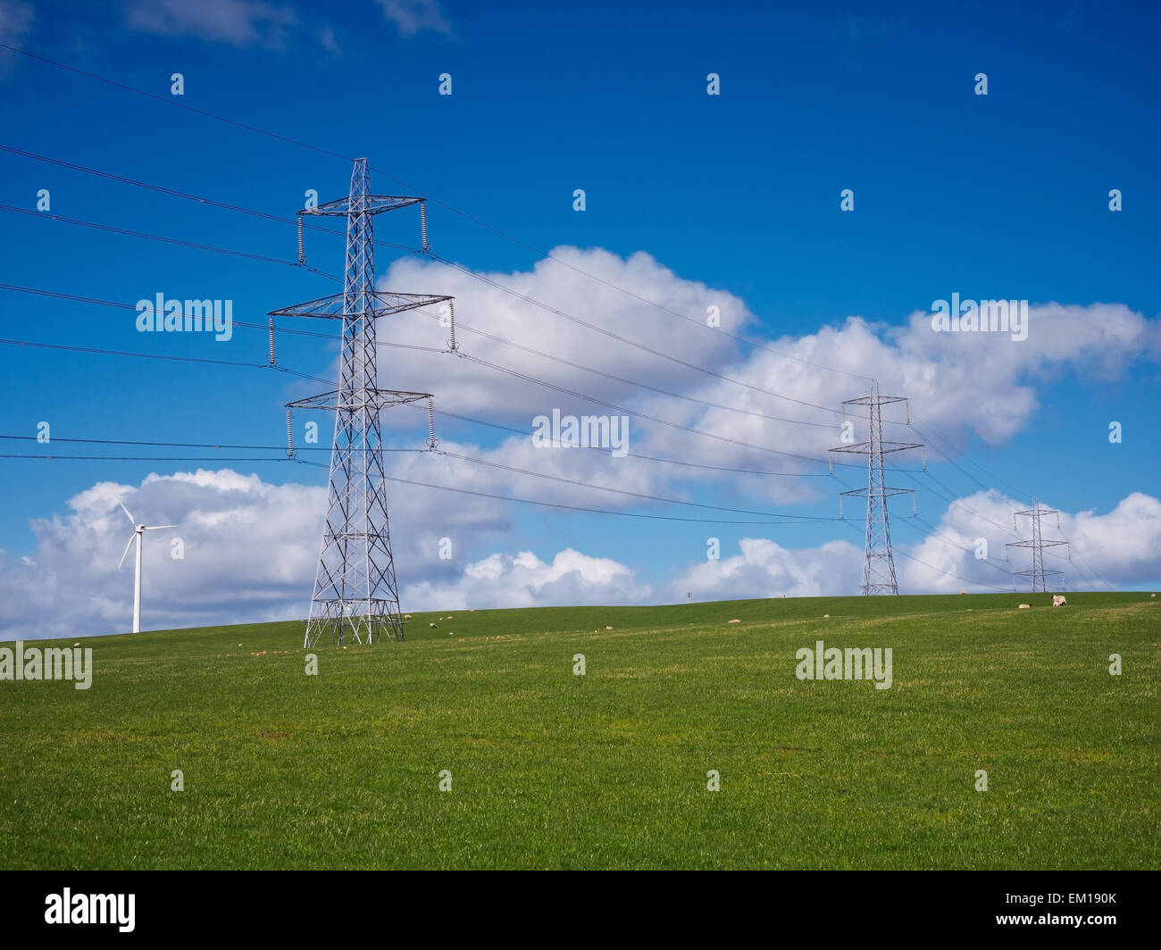 Tralicci di elettricità che attraversa un rurale campo di erba in Scozia. Foto Stock