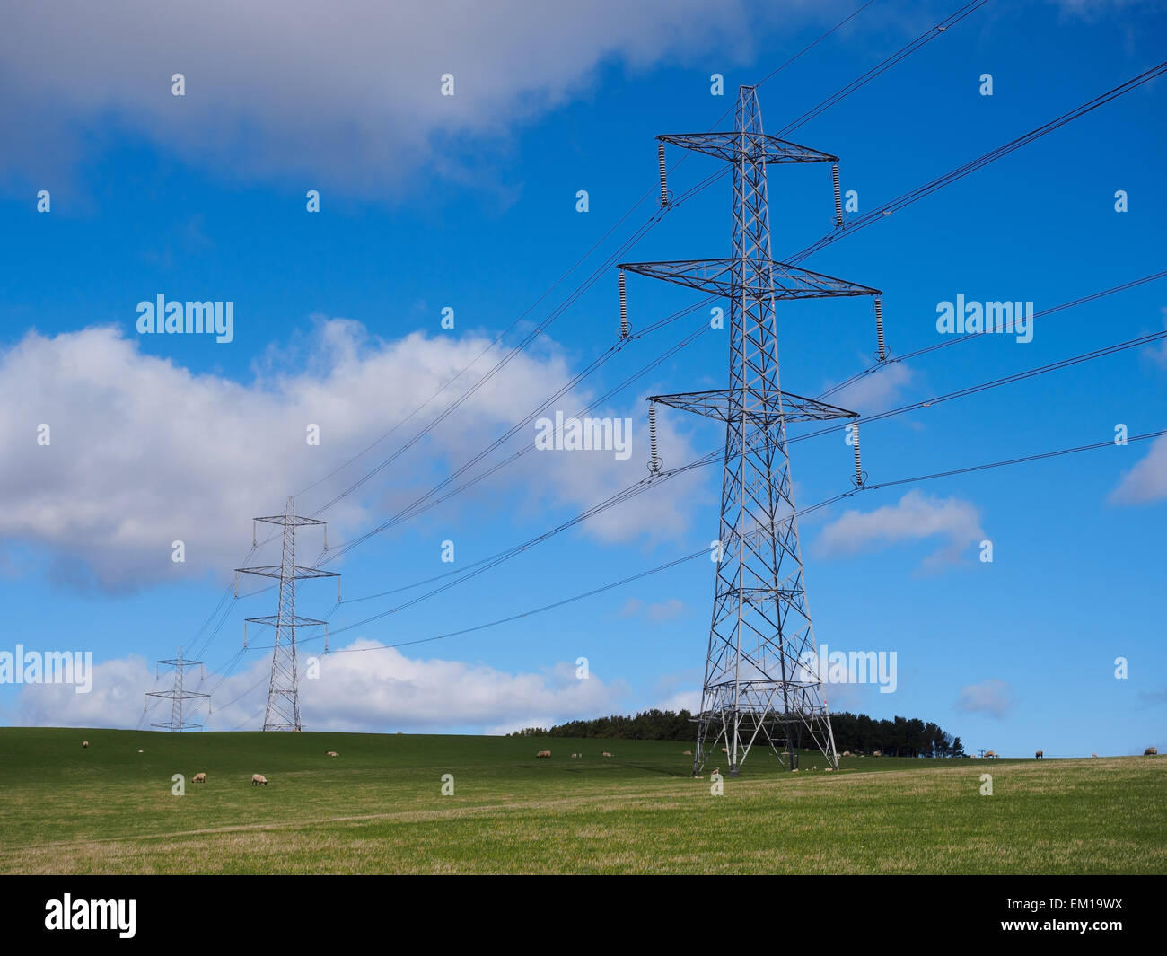 Tralicci di elettricità che attraversa un rurale campo di erba in Scozia. Foto Stock