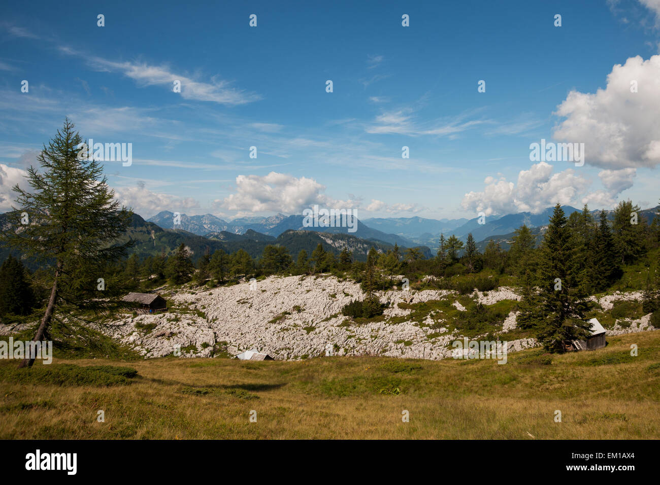 Vista sull'Almo di Rettenbach verso ovest su Loser, Altaussee, Stiria, Austria Foto Stock
