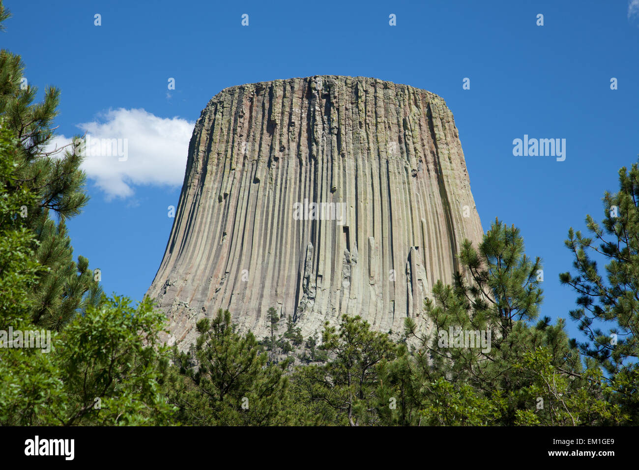 Devil's Tower salendo verso il cielo. Foto Stock