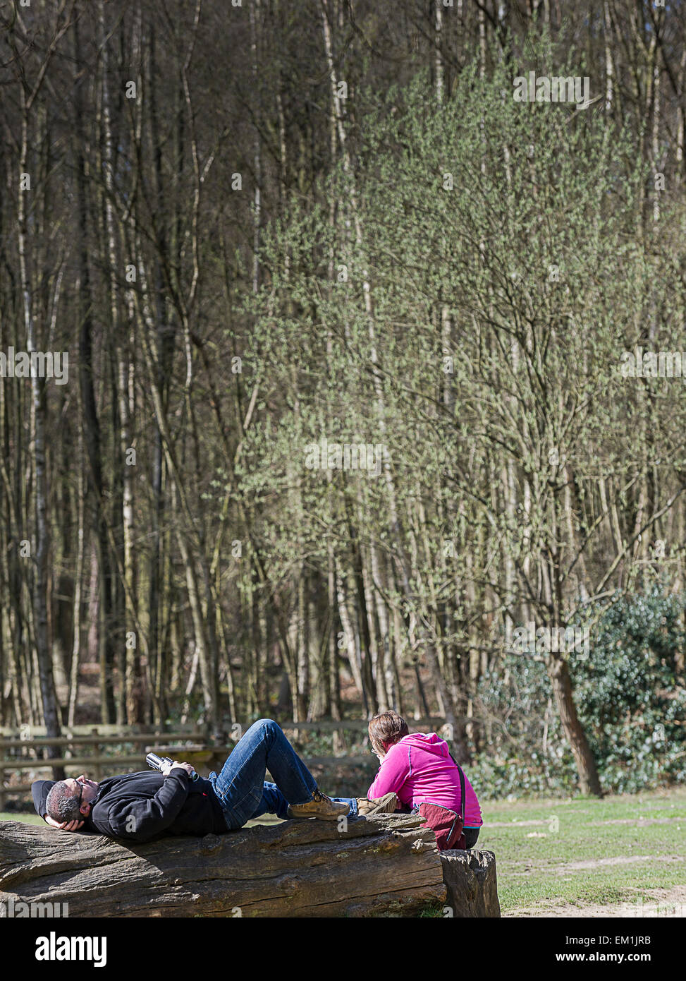 Persone rilassante sotto il sole a Thorndon Park woodland, Essex. Foto Stock