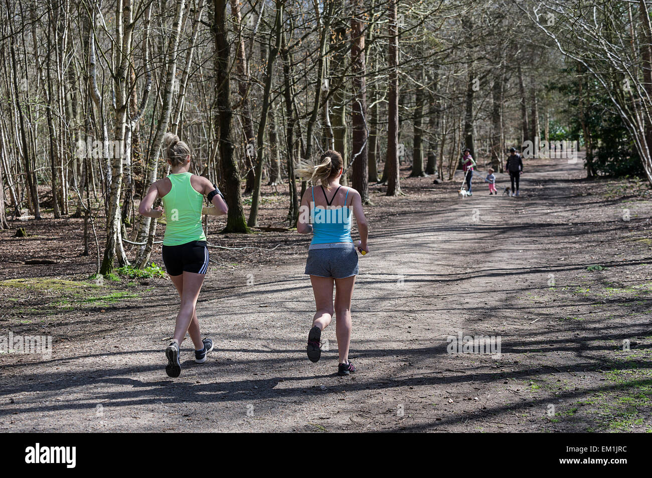 Per chi ama fare jogging nel parco Thorndon woodland, Essex Foto Stock