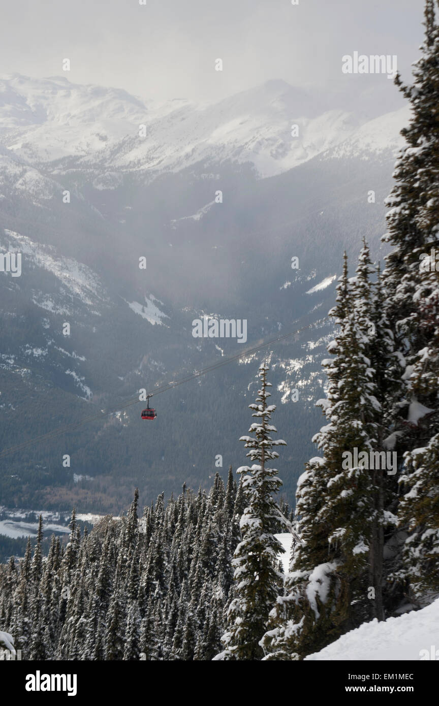 Un cavo rosso auto a cavallo su la coperta di neve foresta; Whistler della Columbia britannica in Canada Foto Stock