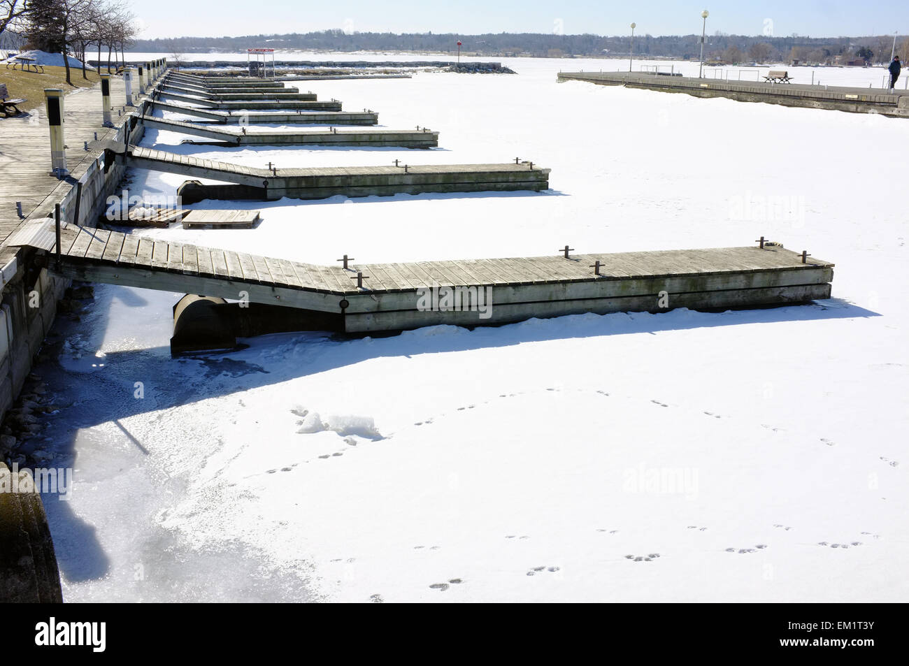 Pontili in legno sporgente nella acque congelate del Lago Simcoe sul bordo di Barrie in Ontario. Foto Stock