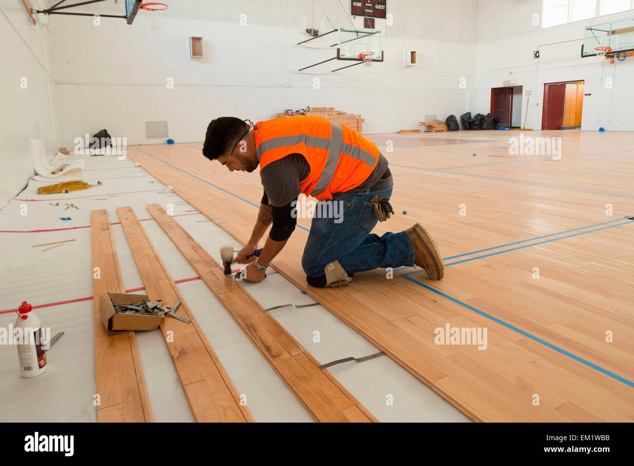 Un lavoratore stabilisce maple pavimenti in legno in un campo di pallacanestro. Foto Stock
