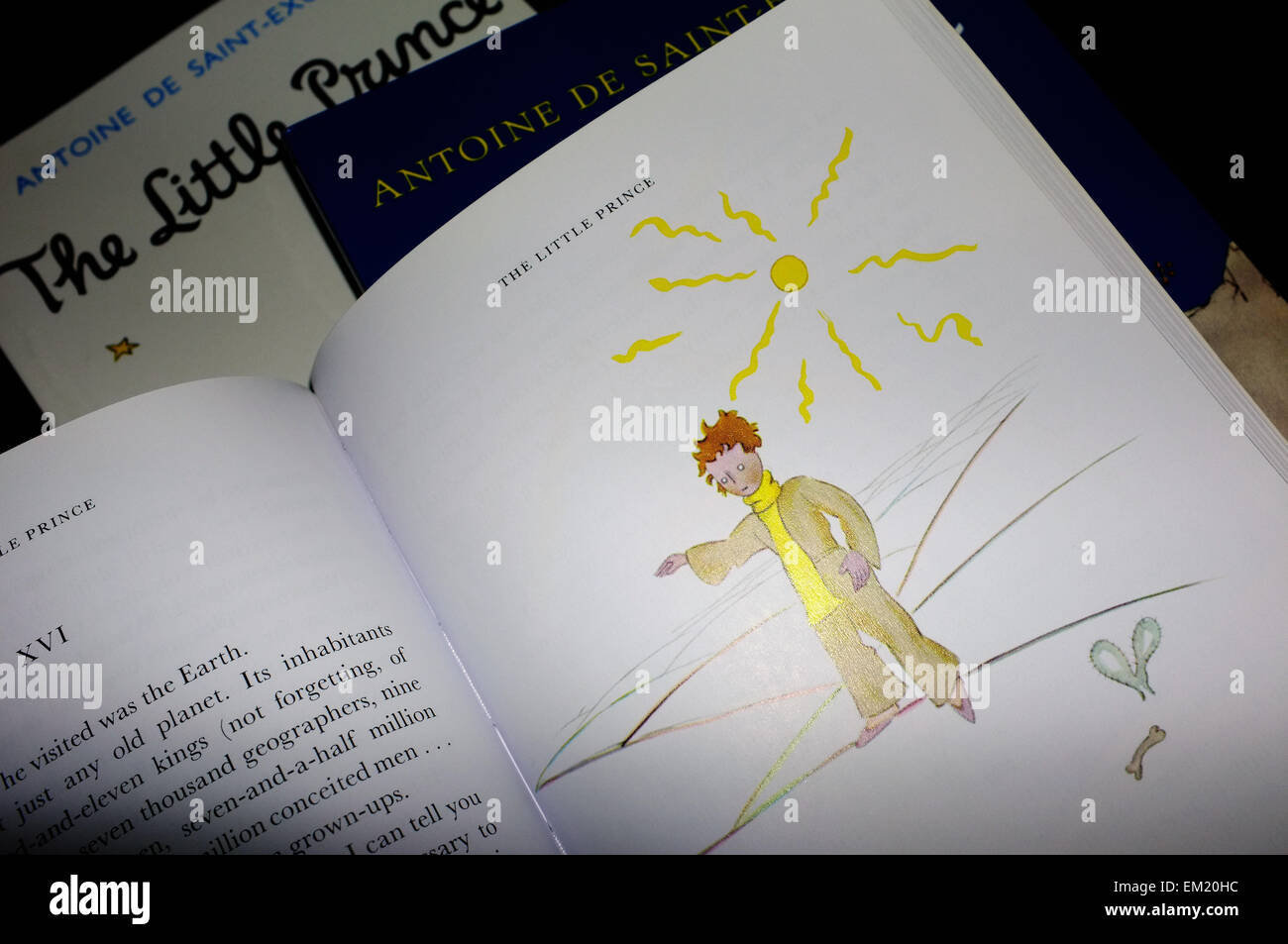 Un'illustrazione all'interno del piccolo principe da Antoine de Saint-Exupéry. Foto Stock