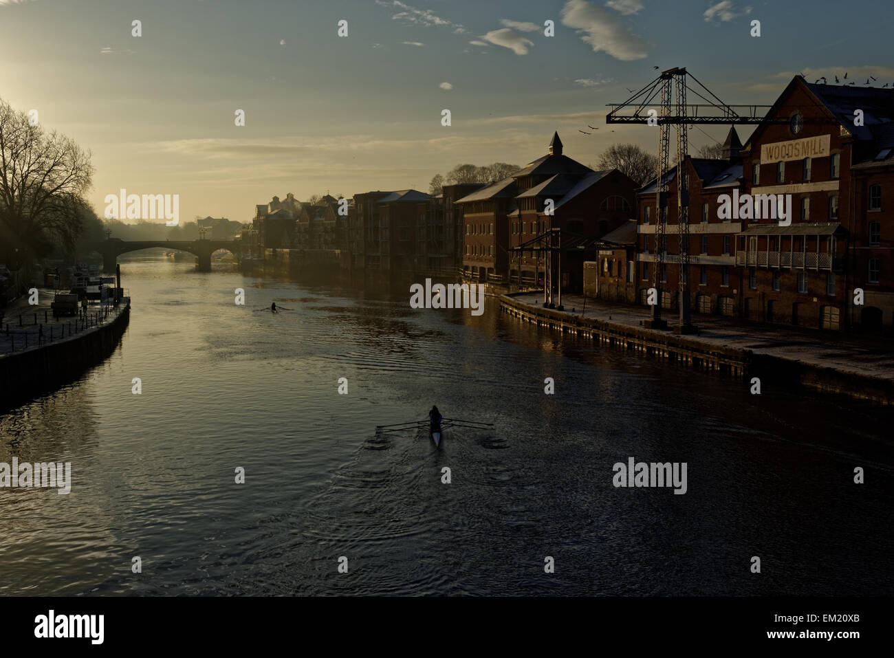 I canottieri sul fiume Ouse, York, Yorkshire, Inghilterra, Regno Unito Foto Stock