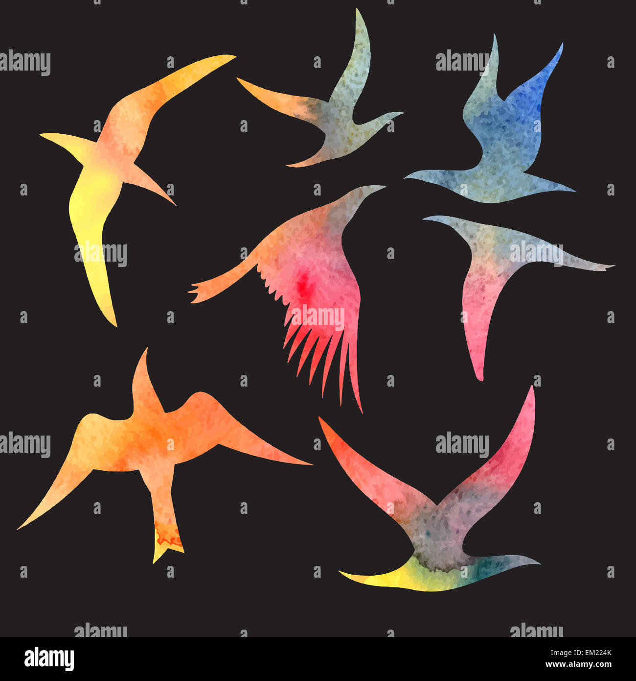 Bella luminosa set di acquerelli di uccelli diversi. Illustrazione Vettoriale Foto Stock