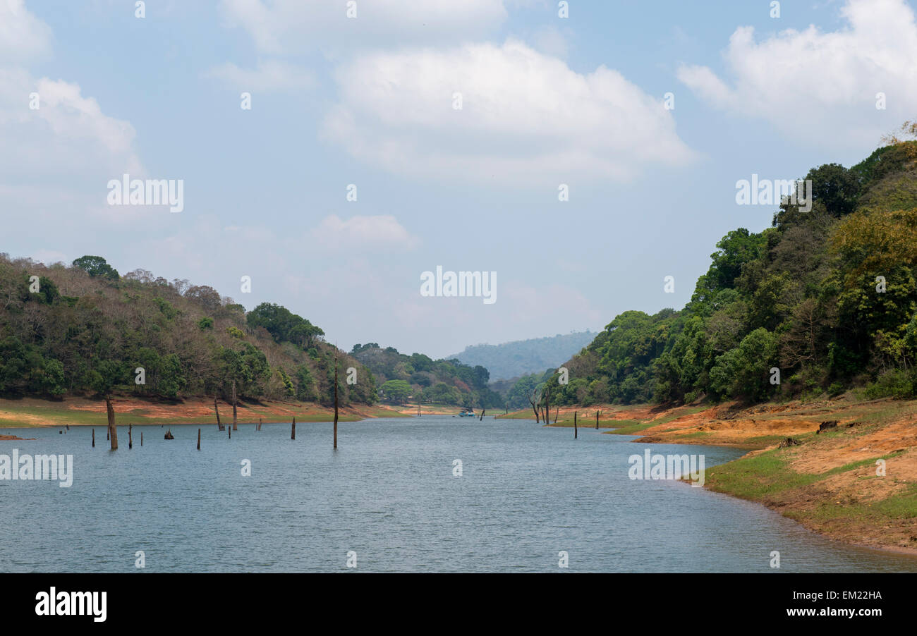 Lago presso la Riserva del Periyar in Thekkady, Kerala India Foto Stock